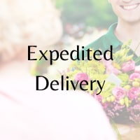 Expedited Delivery